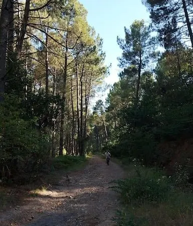 Le Nid Des Hirondelles Confort Au Coeur De La Nature Dans Un Veritable Mas Cevenol * Generargues
