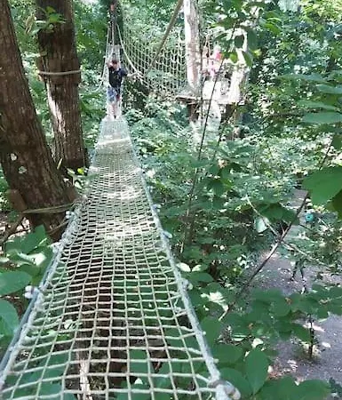 Le Nid Des Hirondelles Confort Au Coeur De La Nature Dans Un Veritable Mas Cevenol Lejlighed *