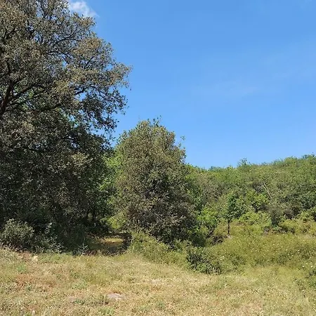 Le Nid Des Hirondelles Confort Au Coeur De La Nature Dans Un Veritable Mas Cevenol Generargues
