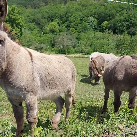 Le Nid Des Hirondelles Confort Au Coeur De La Nature Dans Un Veritable Mas Cevenol * Generargues