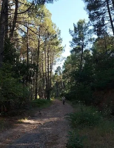 Le Nid Des Hirondelles Confort Au Coeur De La Nature Dans Un Veritable Mas Cevenol * Generargues