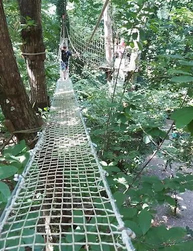 Le Nid Des Hirondelles Confort Au Coeur De La Nature Dans Un Veritable Mas Cevenol 아파트 *