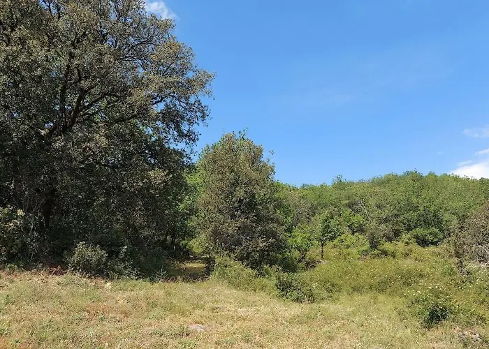 Le Nid Des Hirondelles Confort Au Coeur De La Nature Dans Un Veritable Mas Cevenol Generargues